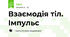 Взаємодія тіл. Імпульс