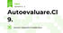 Autoevaluare.Cl 9.