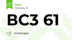ВС3 61