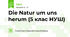 Die Natur um uns herum (5 клас НУШ)