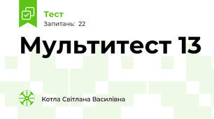 Мультитест 13