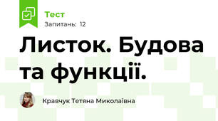 Листок. Будова та функції.
