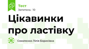Цікавинки про ластівку