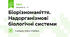 Біорізноманіття. Надорганізмові біологічні системи