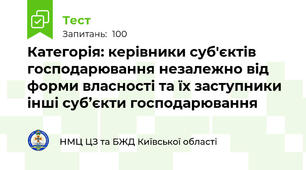 Категорія: керівники суб'єктів господарювання незалежно від форми власності та їх заступники інші суб’єкти господарювання