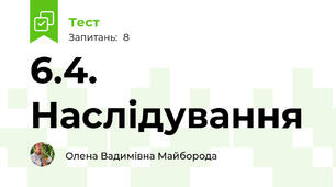 6.4. Наслідування