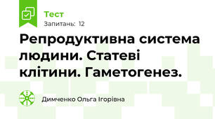 Репродуктивна система людини. Статеві клітини. Гаметогенез. 