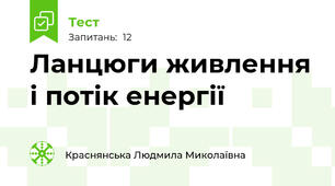 Ланцюги живлення і потік енергії