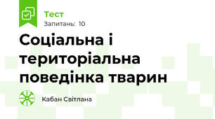 Соціальна і територіальна поведінка тварин