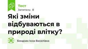 Які зміни відбуваються в природі влітку?