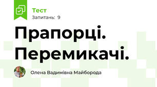 Прапорці. Перемикачі.