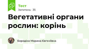 Вегетативні органи рослин: корінь