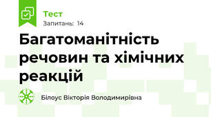 Багатоманітність речовин та хімічних реакцій