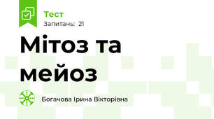 Мітоз та мейоз