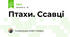 Птахи. Ссавці