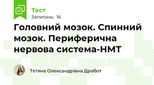 Головний мозок. Спинний мозок. Периферична нервова система-НМТ