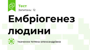  Ембріогенез людини