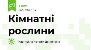Кімнатні рослини