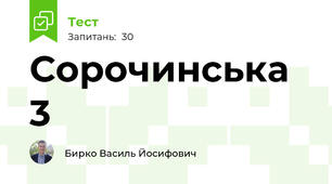 Сорочинська 3 
