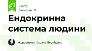 Ендокринна система людини