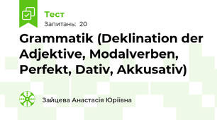 Grammatik (Deklination der Adjektive, Modalverben, Perfekt, Dativ, Akkusativ)