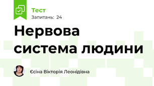 Нервова система людини