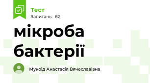 мікроба бактерії