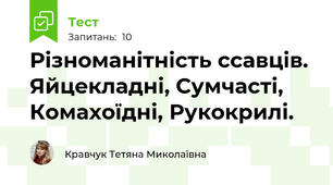 Різноманітність ссавців. Яйцекладні, Сумчасті, Комахоїдні, Рукокрилі.