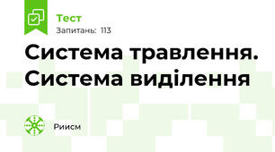 Система травлення. Система виділення