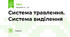 Система травлення. Система виділення