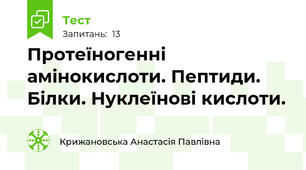 Протеїногенні амінокислоти. Пептиди. Білки. Нуклеїнові кислоти.