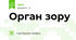 Орган зору