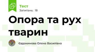 Опора та рух тварин
