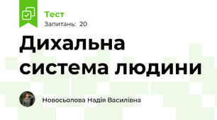 Дихальна система людини