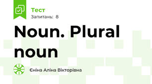 Noun. Plural noun