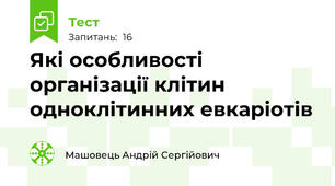 Які особливості організації клітин одноклітинних евкаріотів