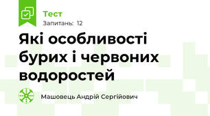 Які особливості бурих і червоних водоростей