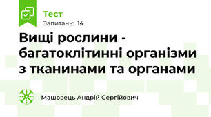 Вищі рослини - багатоклітинні організми з тканинами та органами