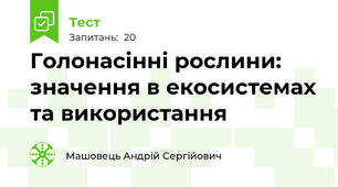 Голонасінні рослини: значення в екосистемах та використання 