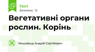 Вегетативні органи рослин. Корінь