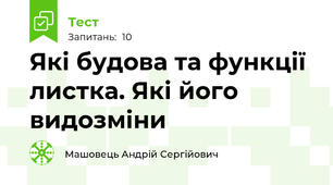 Які будова та функції листка. Які його видозміни 