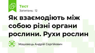 Як взаємодіють між собою різні органи рослини. Рухи рослин