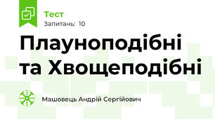 Плауноподібні та Хвощеподібні