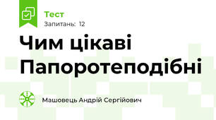 Чим цікаві Папоротеподібні