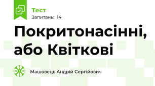 Покритонасінні, або Квіткові