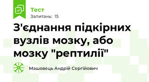 З'єднання підкірних вузлів мозку, або мозку "рептилії"