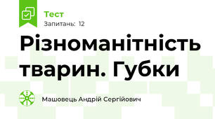 Різноманітність тварин. Губки