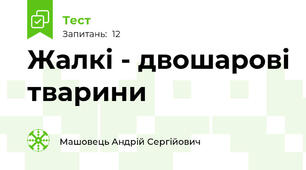 Жалкі - двошарові тварини