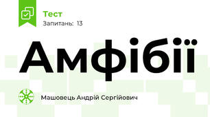 Амфібії