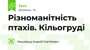 Різноманітність птахів. Кільогруді